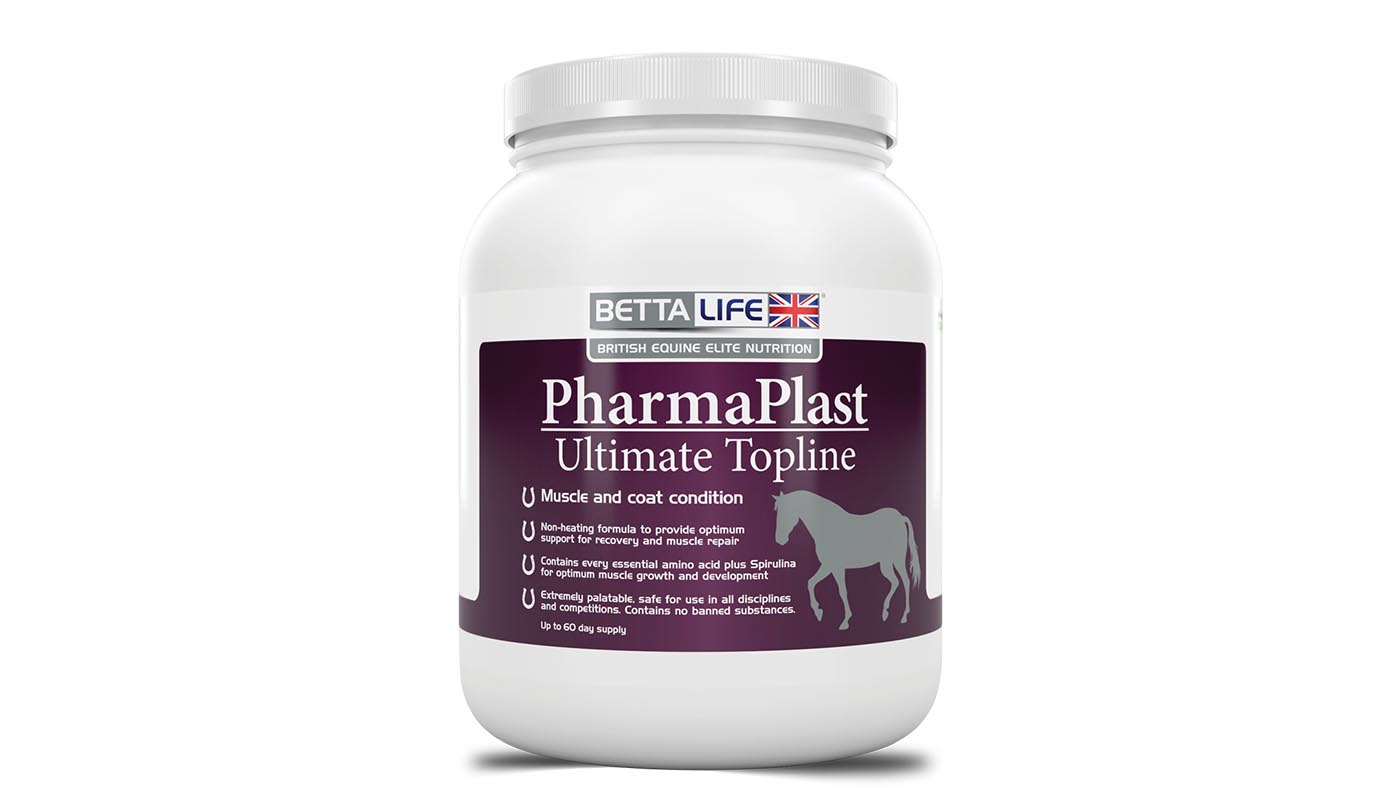 Betta Life vitamin and mineral supplements for horses