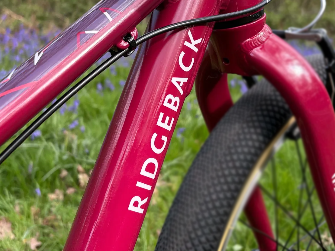 Issue could cause "serious and life-changing injuries", warns product safety solicitor