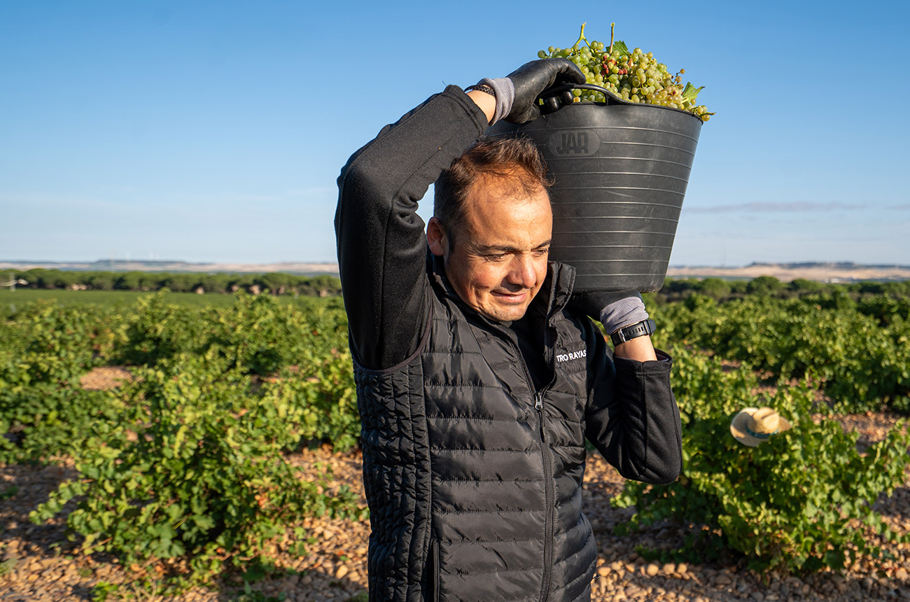 A man wih a bucket of white grapes on his shoulder