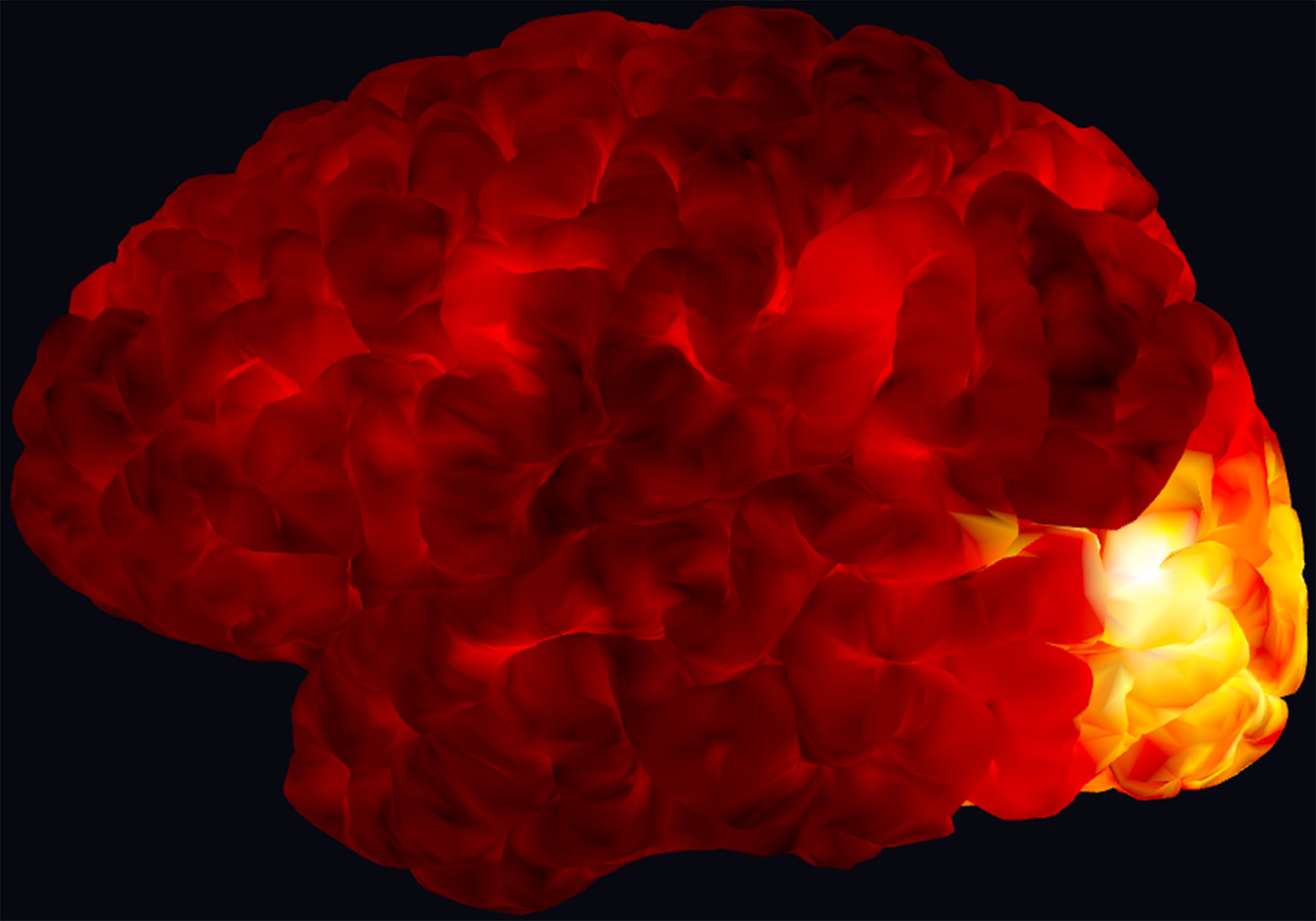 A red and yellow brains can