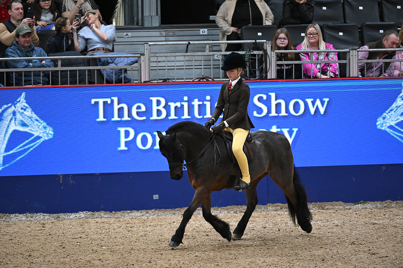 HorseNo29_LIHS_PN23_120671