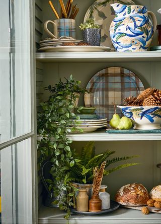 Green display cabinet with tartan print crockery and plants on the shelves