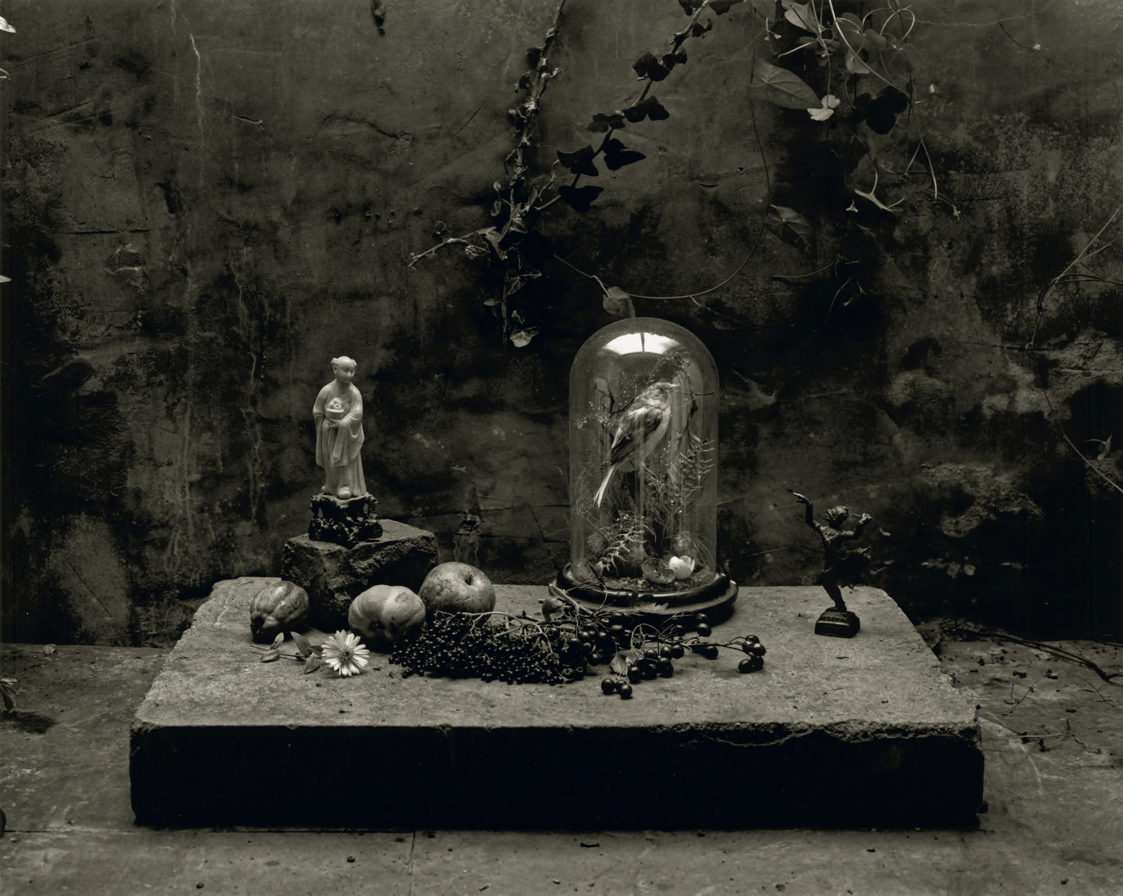 A somber black and white still life featuring a small statue, fruit, berries, and a bird inside a glass bell jar, all resting on a stone slab against a textured wall with ivy.