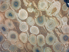 Rock close-up