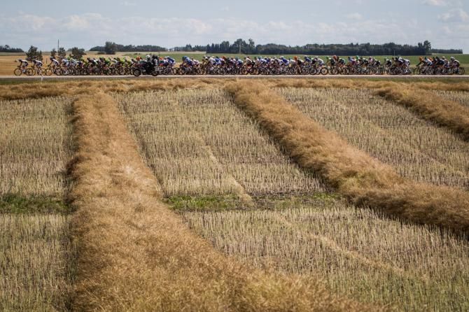 Lots of farmlands for today's racing