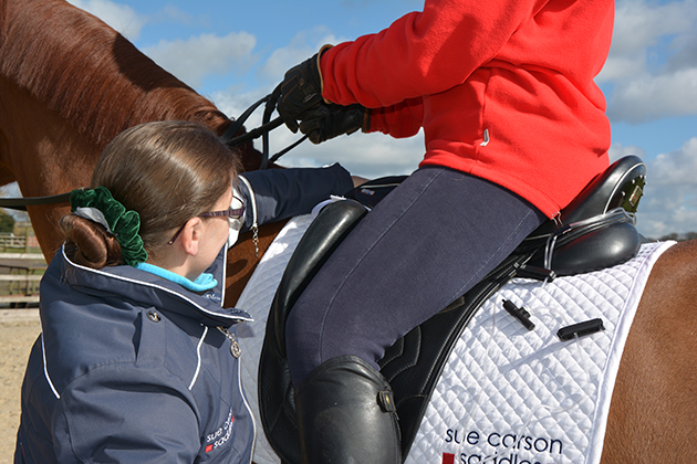 scs_adjust-air-flock-rider-mounted.jpg