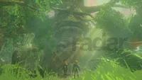 How to get through the Lost Woods in Zelda Tears of the Kingdom