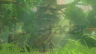 Lost Woods Zelda Tears of the Kingdom