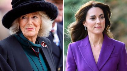 Queen Camilla and Kate's relationship 'one step removed', according to an expert. Seen here are Queen Camilla at the Field of Remembrance and the Princess of Wales at the Shaping Us National Symposium