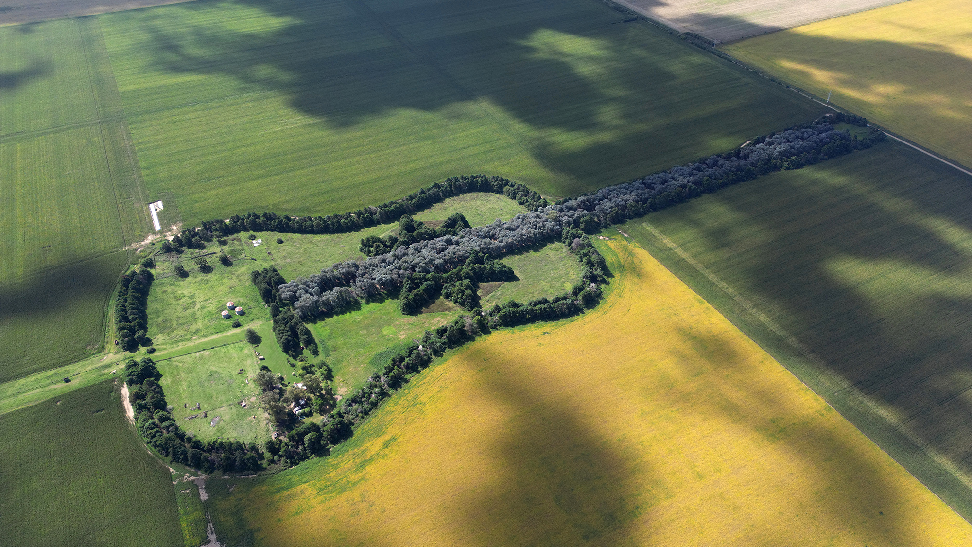 An aerial view of Estancia La Guitarra, a guitar-shaped farmstead created from 7,000 cypress and eucalyptus trees first planted in 1979, near General Levalle in Argentina