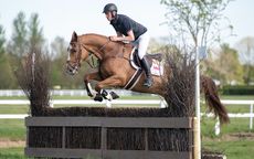 Tattersalls event horse sale Top lot