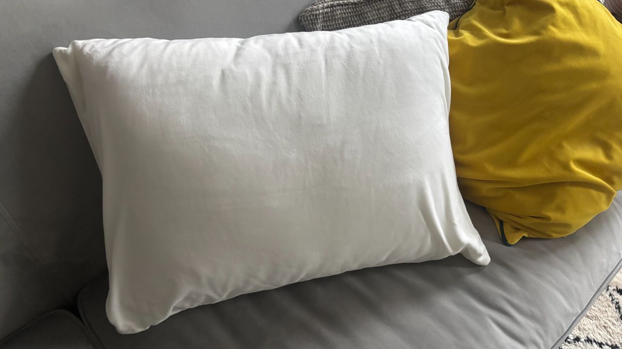 SquishPillow on a gray couch.
