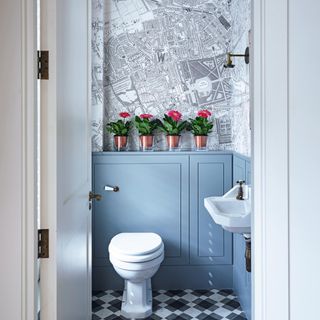 downstairs toilet with map wallpaper and plants lined up on shelf
