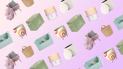 A collage of pet products on a pastel background