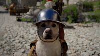 Crimson Desert Sigil of Valor - Dog