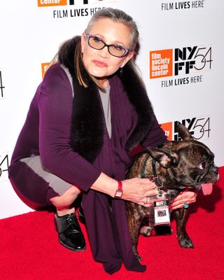 Most Popular Dog Carrie Fisher and Gary
