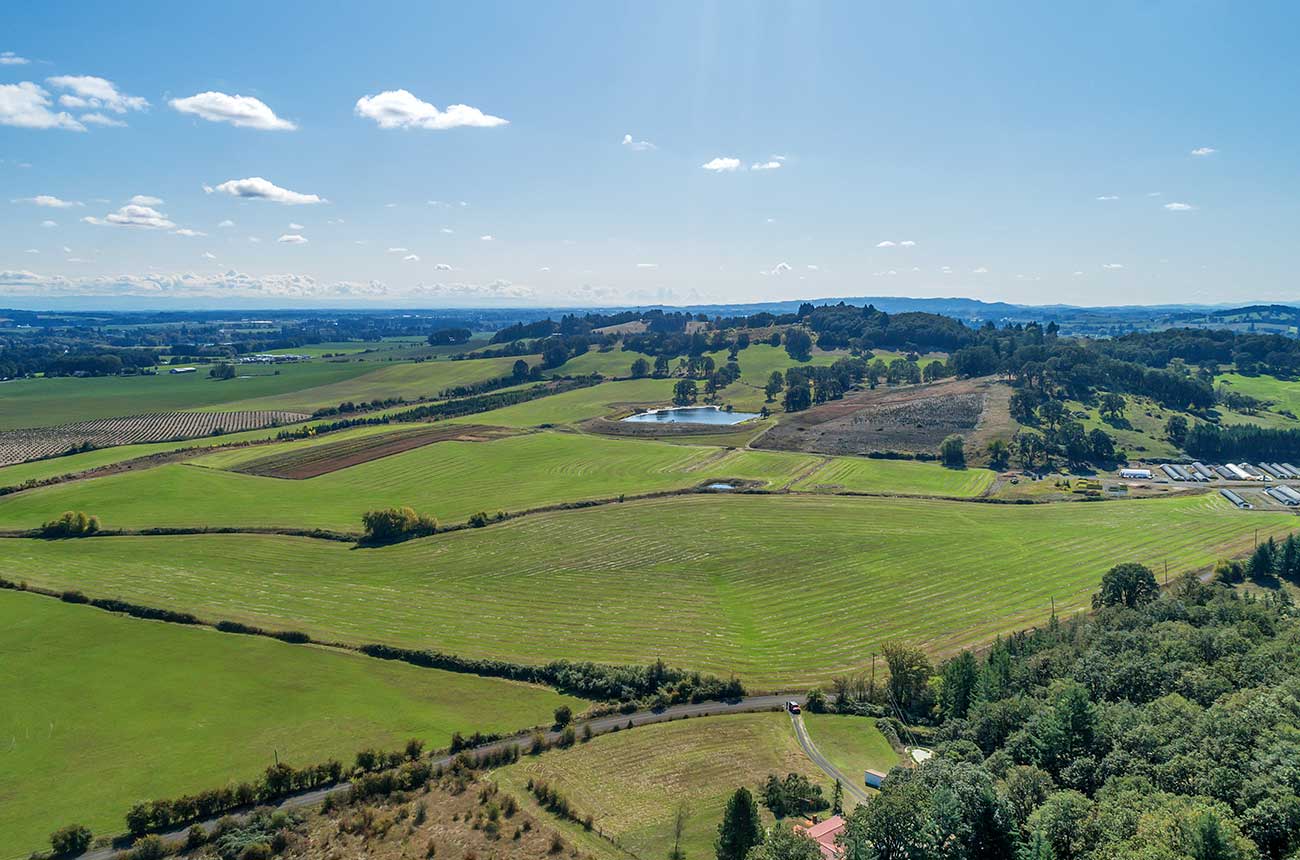 Oregon vineyard land acquired by CJ McCollum and his wife, Elise