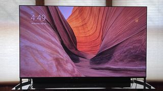 Sony Bravia 8 II showing image of landscape