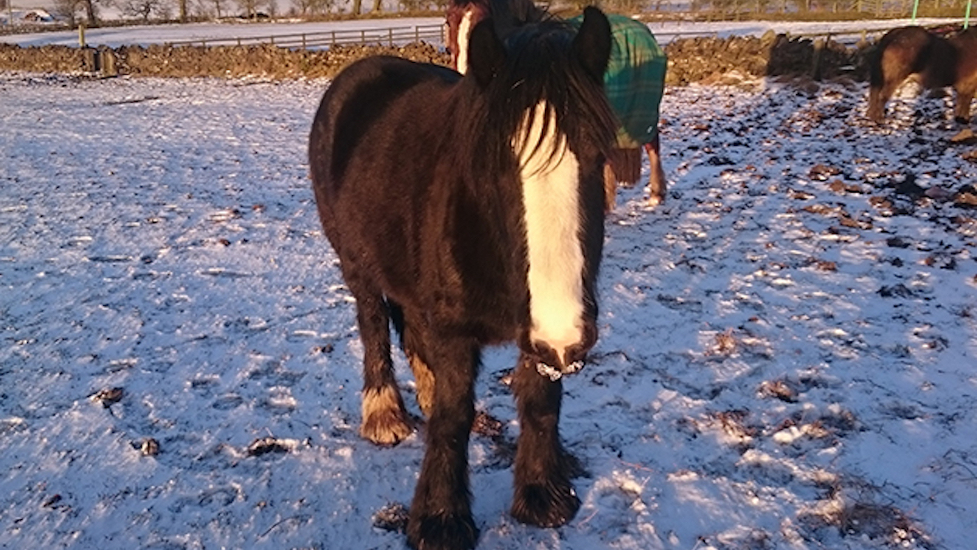 Elsa-now.jpg