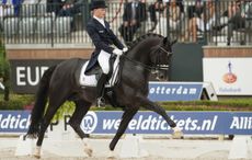 Totilas withdrawn from European Dressage Championships