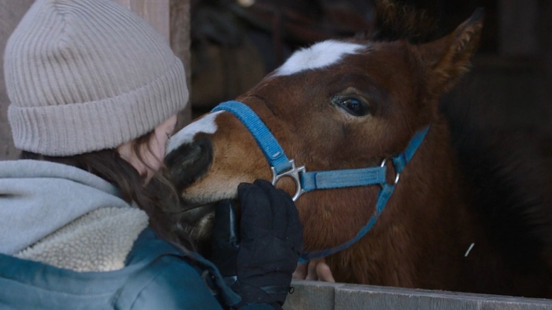 The Last of Us episode 6 just introduced Ellie's horse companion