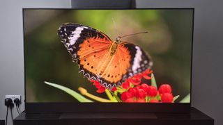 Sky Glass Gen 2 displaying butterfly