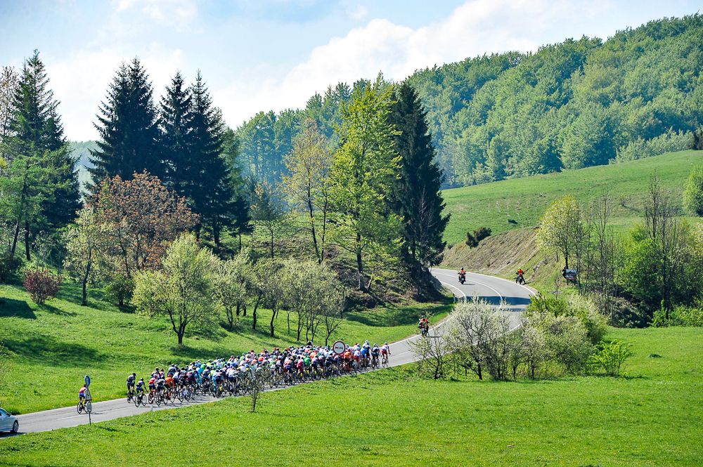 The peloton in action during stage 2 at the Tour of Croatia