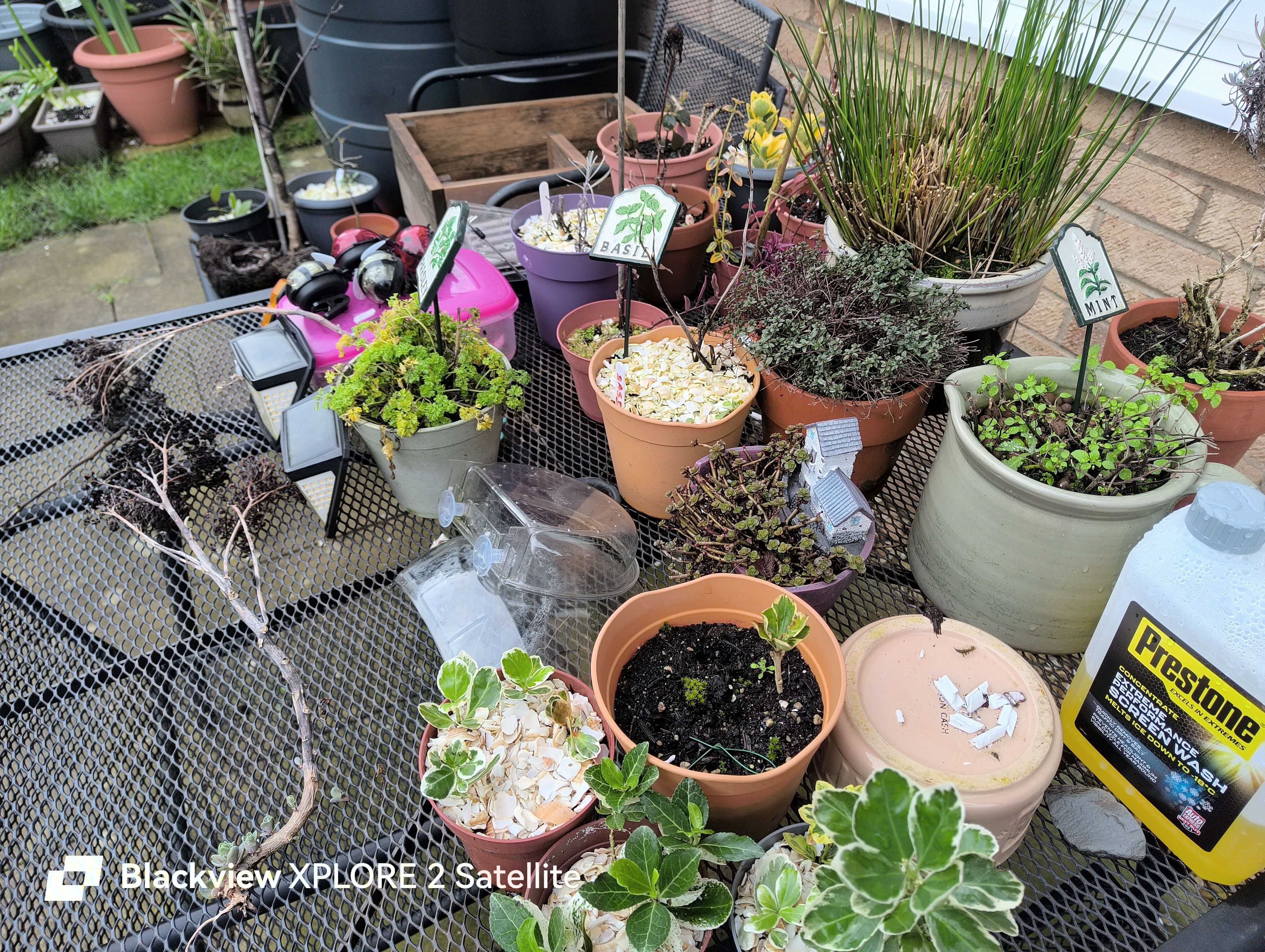 Blackview Xplore 2 Satellite photo examples