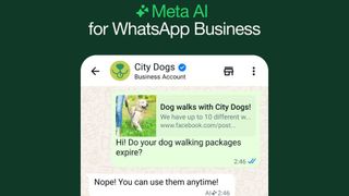 Meta AI for WhatsApp Business