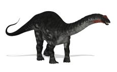 apatosaurus