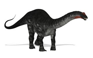 apatosaurus