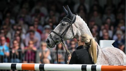 Ballagmor Class stands in the main ring as he retires at Burghley