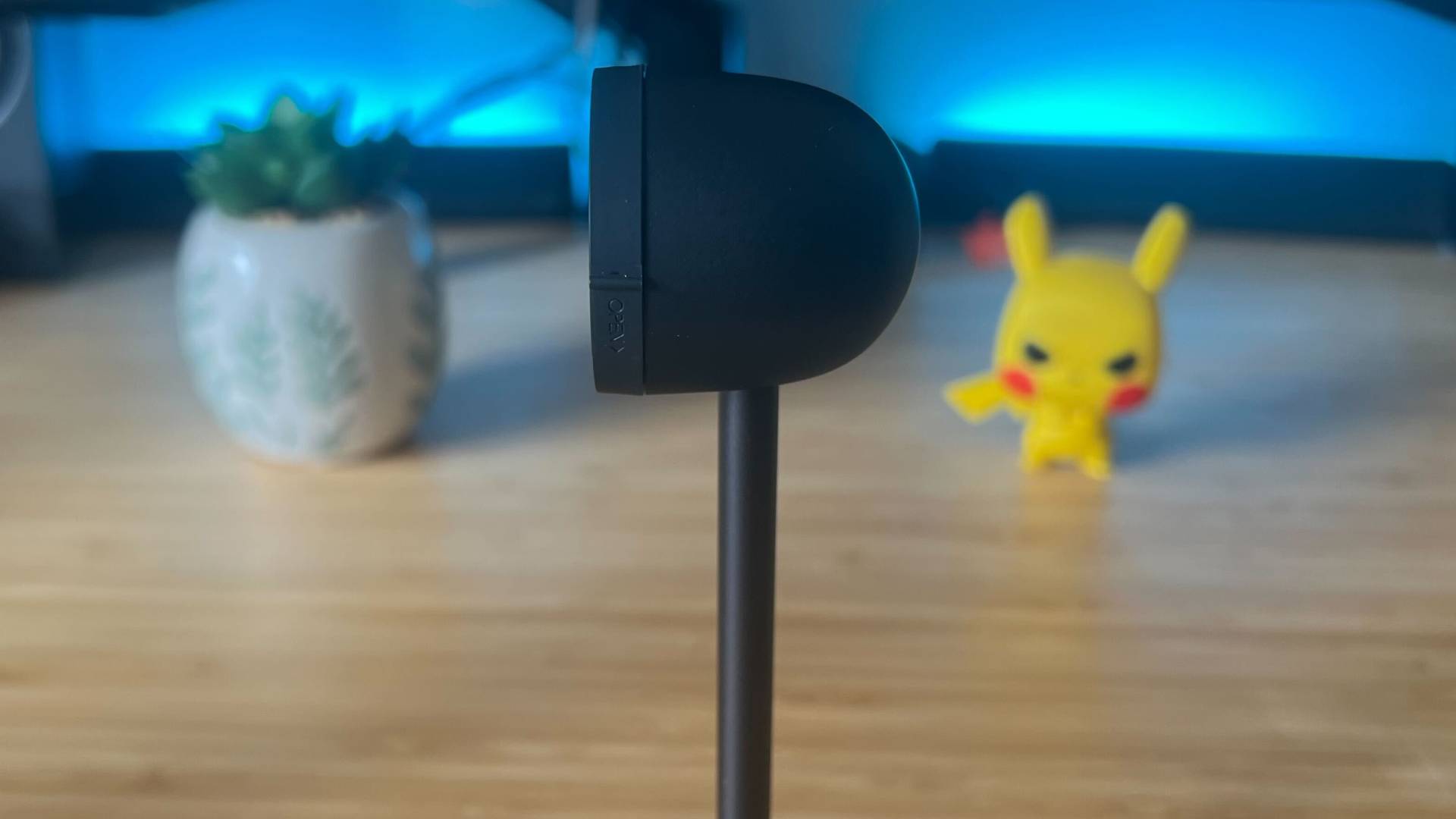 Photo taken by Tabitha Baker of the Nintendo Switch 2 Camera.
