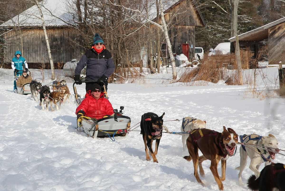 Bradley and Barney dog sledding in Bradley Walsh &amp; Son: Breaking Dad