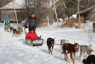 Bradley and Barney dog sledding in Bradley Walsh & Son: Breaking Dad