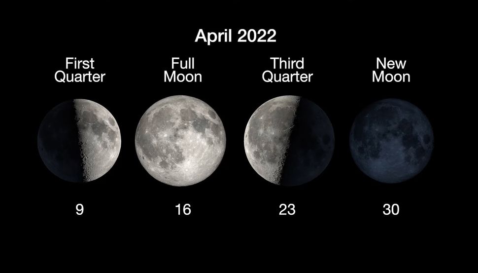 Moon phases 2022: This year's moon cycles | Space