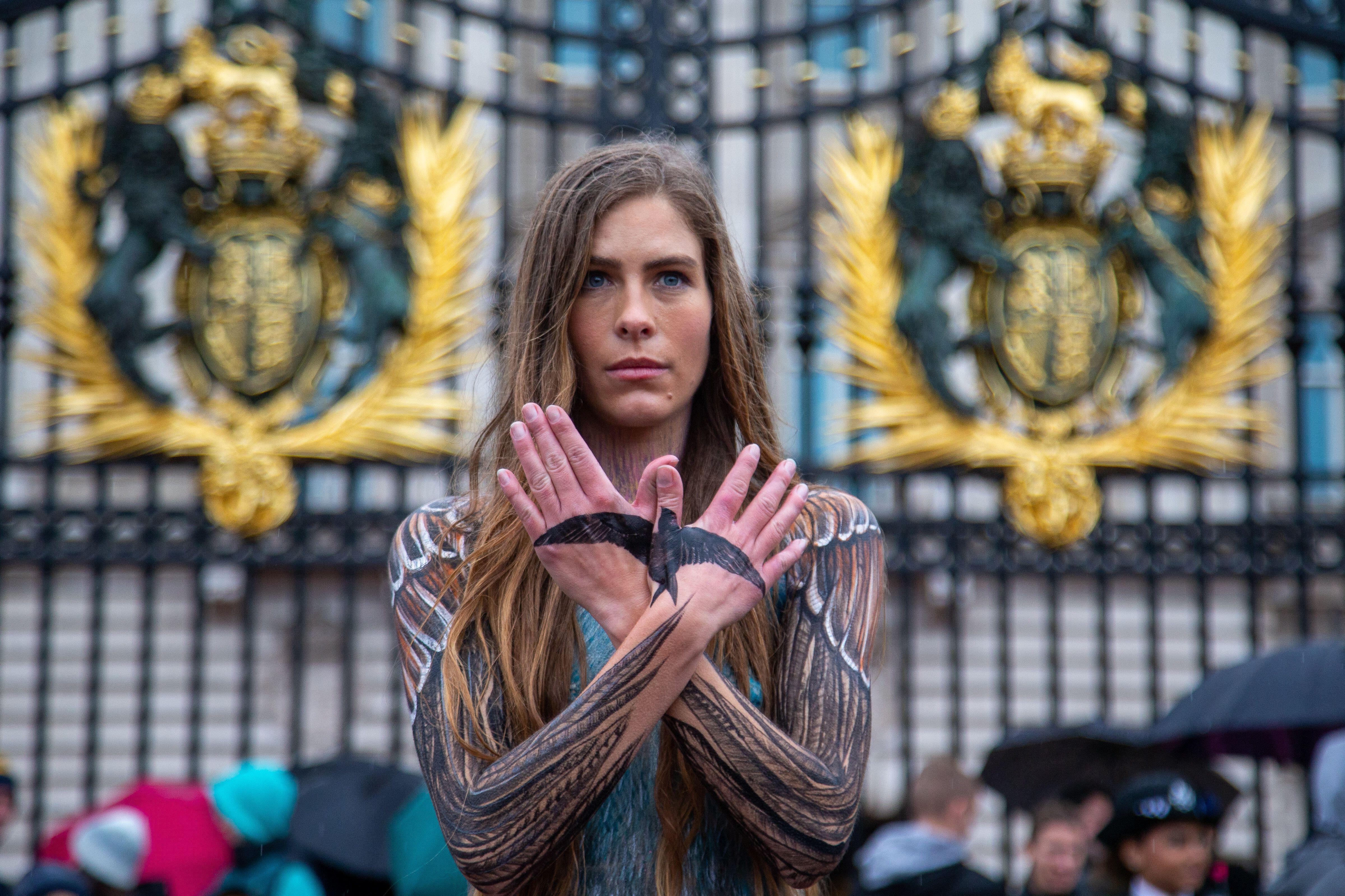 Hannah Bourne-Taylor during one of her naked protests trying to save the swift.