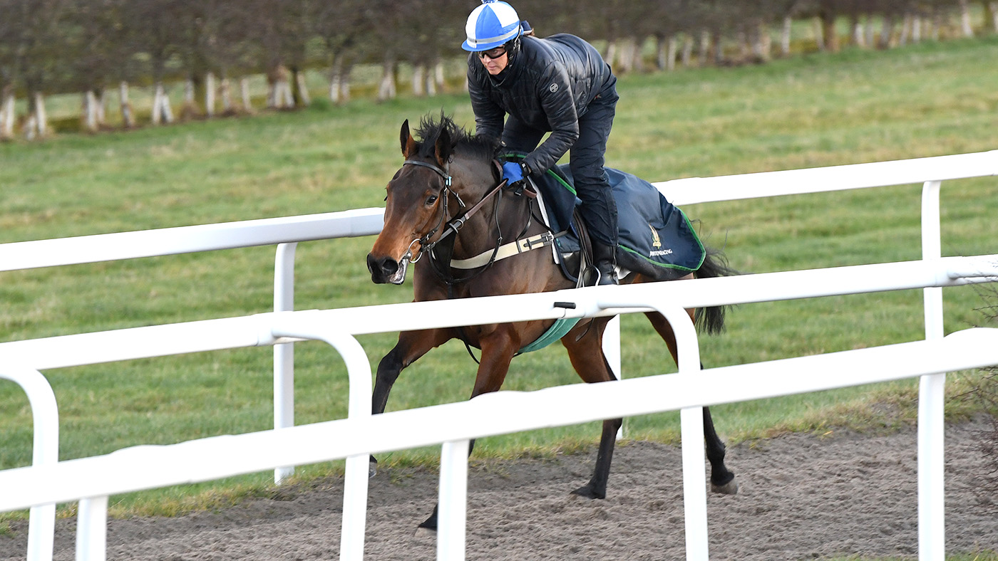 Mark Johnson racing yard 15.12.21