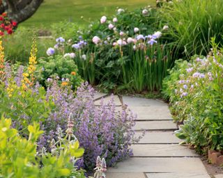 garden path with borders
