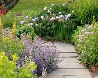 Monty Don's brilliantly simple tip for building raised beds in the