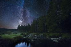 A night scape at Bellever forest located in Dartmoor National Park.