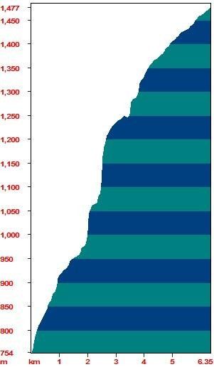 Some like it steep