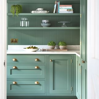 shaker style kitchen cabinets in sea green with brass handles and open shelving