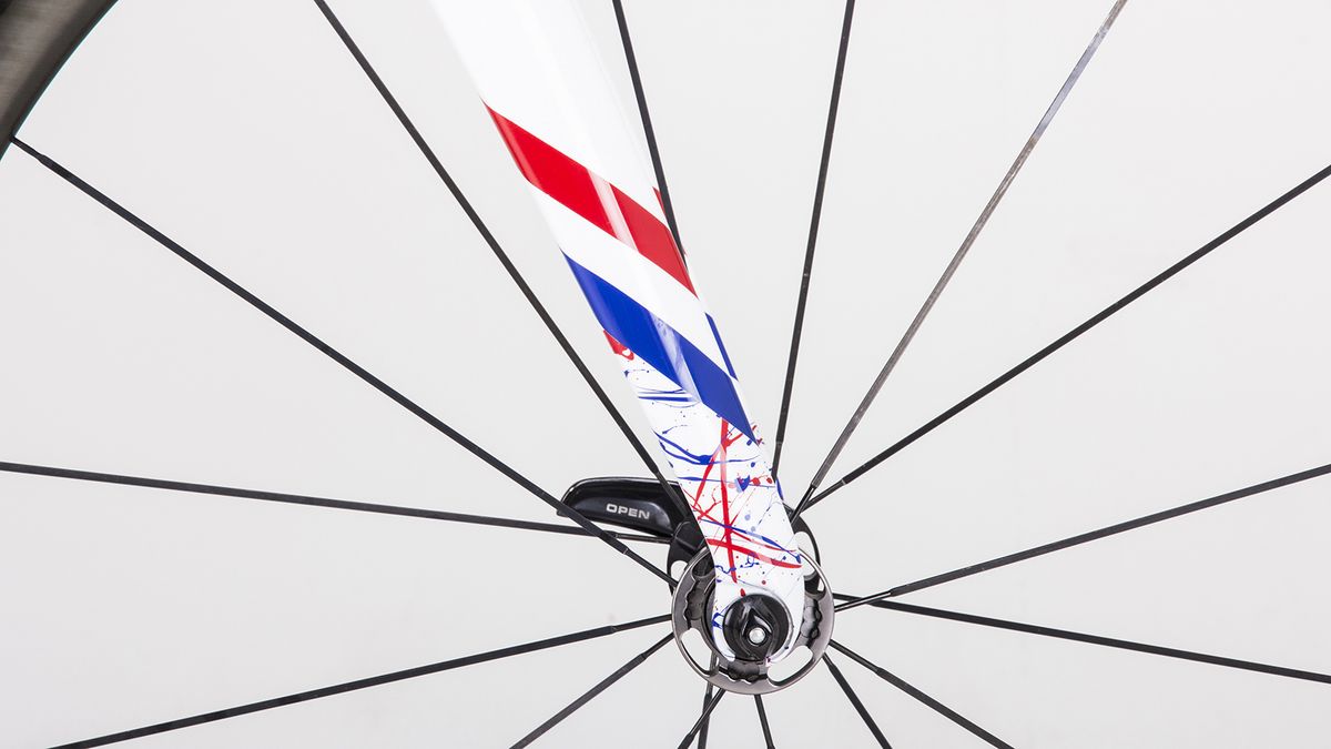 The fork dropouts features the splash design and edged with the three-colours of the British national champion