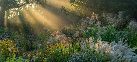 "Jakobstuin" - The garden of Jaap de Vries by Michael Volker / ©International Garden Photographer of the Year