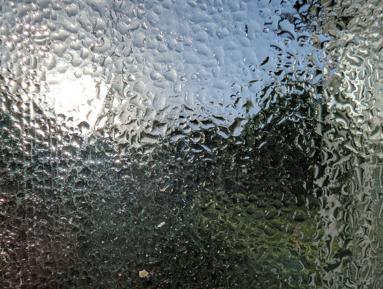 Google Pixel 7 Pro macro shots