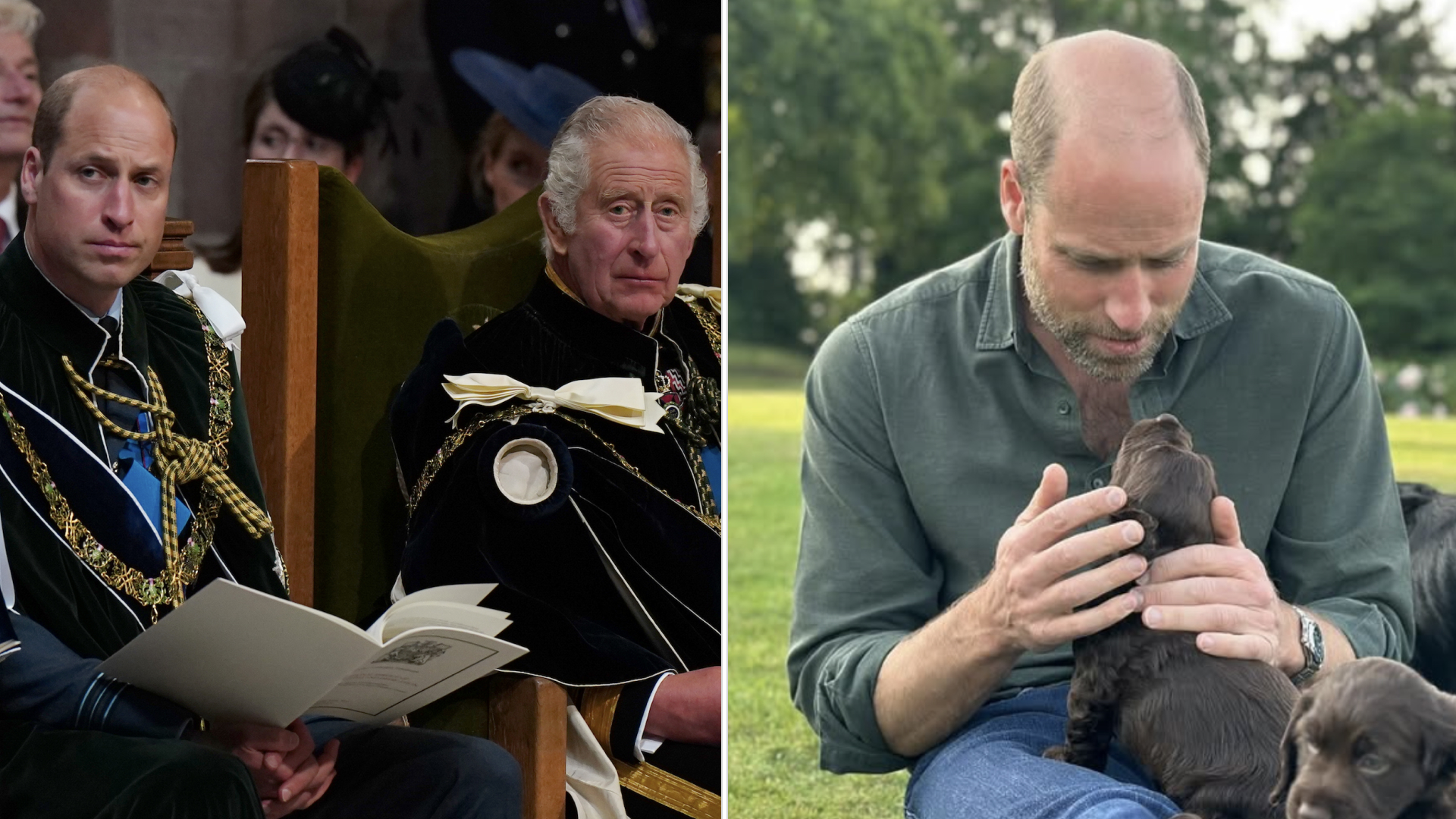 Prince William and King Charles look serious while wearing ceremonial robes