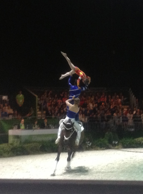 Brazilian squad, WEG 2014