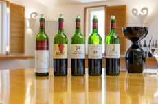 Mouton Rothschild 2024