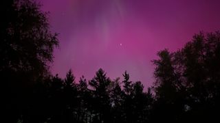 pink sky against forest